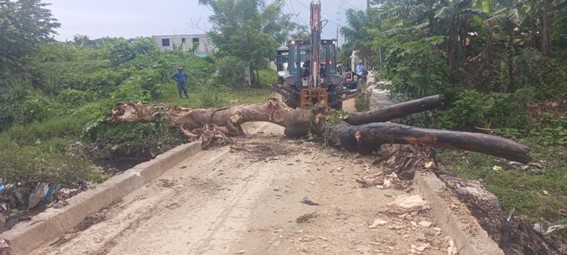 La Junta Municipal de Palmarejo Villa Linda realiza limpieza del puente del río de Lebrón